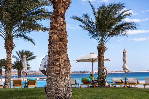 Egypt Hurghada A hotel employee watches the beach and bathers from a palm tree