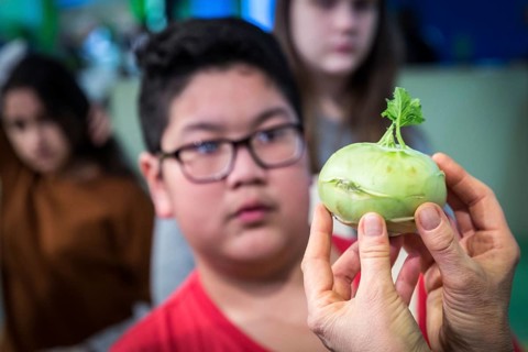DEU Germany Germany Berlin Scene of the Green Weeks, the annual trade fair on food, agriculture and