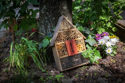 DEU Germany Germany Berlin An insect house on a pavement in Bouchéstrasse in Treptow