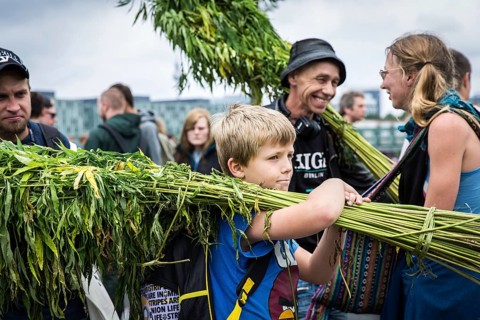 DEU Germany Germany Berlin Scene of the Hemp Parade. Child with hemp plants
