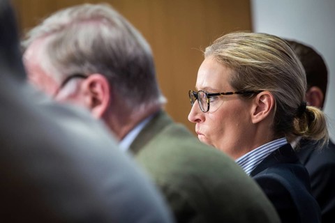 DEU Germany Germany Berlin AFD press conference on environmental policy with Alexander Gauland and
