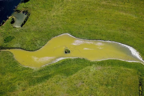 Aerial view, pond with island and water birds in the Lippe floodplains, Hamm, Ruhr area, North