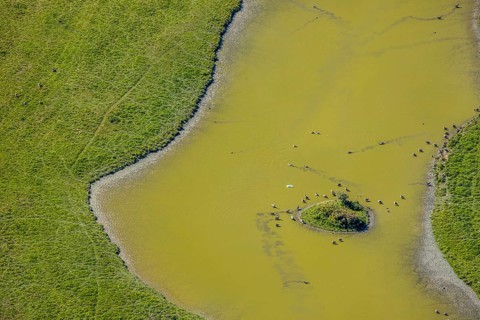 Aerial view, pond with island and water birds in the Lippe floodplains, Hamm, Ruhr area, North