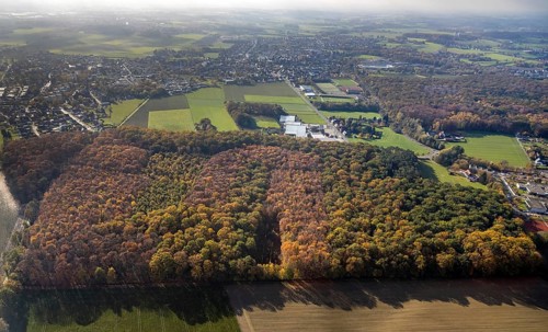 Aerial view, Hüls Wald Caldenhofer Weg, Uentrop, Hamm, Ruhr area, North Rhine-Westphalia, Germany,