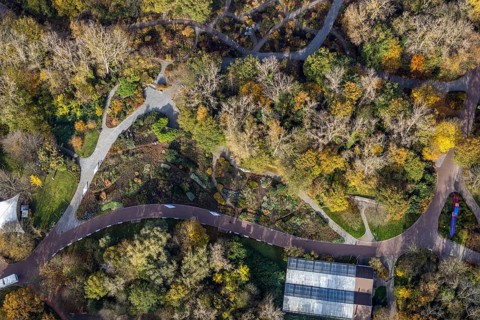 Aerial view, Maximilianpark Hamm, rose beds, Uentrop, Hamm, Ruhr area, North Rhine-Westphalia,