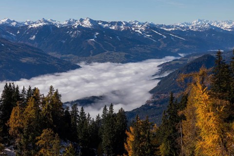 Autumn atmosphere, fog over the Enns Valley, snow on alpine mountain range, autumn leaves, view