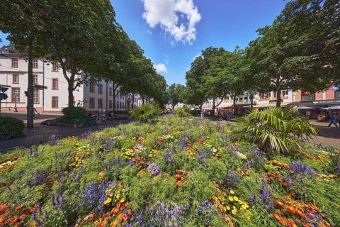 Garden area, flower bed, trees, general architecture, pedestrians as a secondary motif, blue sky,