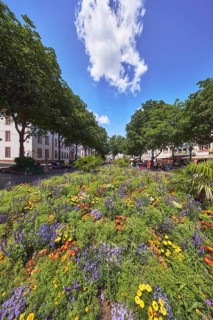 Garden area, flower bed, trees, general architecture, pedestrians as a secondary motif, blue sky,