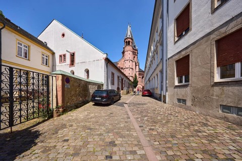 Mainzer Cathedral, St. Martin Cathedral, general architecture, houses, lantern, street made of