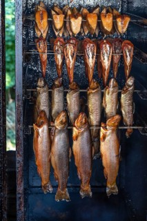 Different types of fish in a smoker, Ahrenshoop, Darß, Mecklenburg-Western Pomerania, Germany