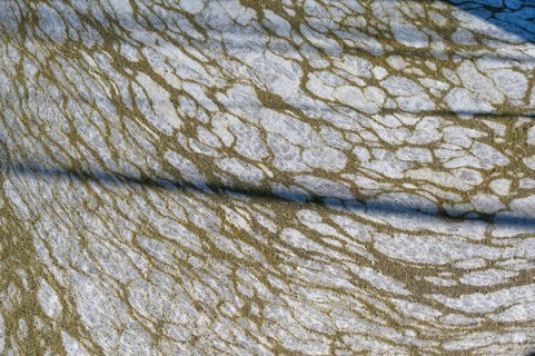 Structure of pollution in the port of Ahrenshoop, Darß, Baltic Sea, Mecklenburg-Western Pomerania,