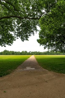 Long gravel path leading through the vast green fields of Hyde Park, London