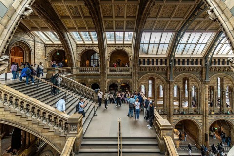 London, United Kingdom - 15 May 2025: People exploring the immense Natural History Museum