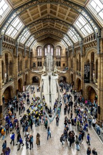 London, United Kingdom - 15 May 2025: Crowds of people gather beneath the famous hanging whale