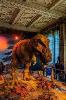 London, United Kingdom - 15 May 2025: Realistic dinosaur model in the Natural History Museum