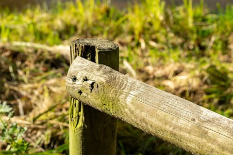 Raesfeld, NRW, Germany, Weathered wooden fence post with a fallen rail connecting, standing in a