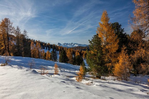 Autumn atmosphere, snow on alpine peaks, Dachstein, autumn leaves, view from Stoderzinken near