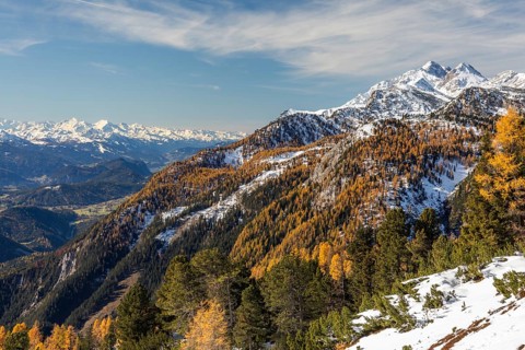 Autumn atmosphere, snow on mountain range, autumn leaves, view from Stoderzinken near Gröbming, in