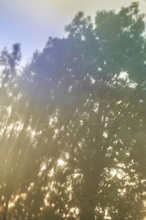Blurry tree at sunset light glimpsing through leaves, in Schimberg, Eichsfeld, Thuringia, Germany