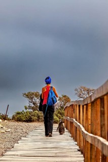 A woman with a blue backpack and a penguin walk along a path covered with wooden planks, The