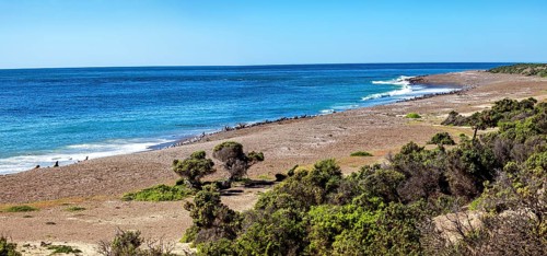 Wide stretch of beach with coastal vegetation on a quiet day by the sea, The countryside of