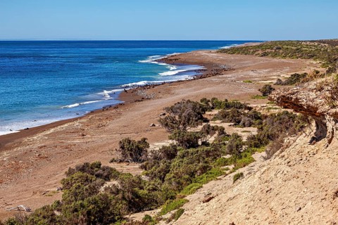 Landscape with extensive beach and vegetation merging into the blue ocean horizon, The landscape of