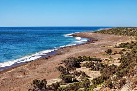 View of a wide coastline with sandy beach and clear lake, The countryside of Peninsula Valdes in