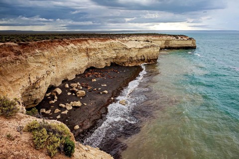 View of the rocky coast with high cliffs and picturesque waves under a cloudy sky, The maned seals