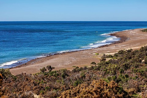 A quiet coastal landscape with wide beaches and lush vegetation under clear skies, The landscape of
