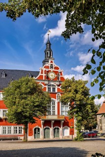 Historic building with red façade in baroque style, surrounded by trees under a blue sky, The old