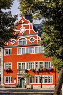 Magnificent building with remarkable façade, surrounded by trees, in bright weather, The old town