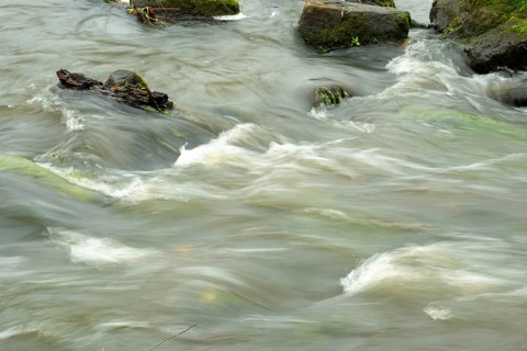 Borken-Hoxfeld, NRW, Germany, A river moves swiftly over stones, creating gentle ripples and
