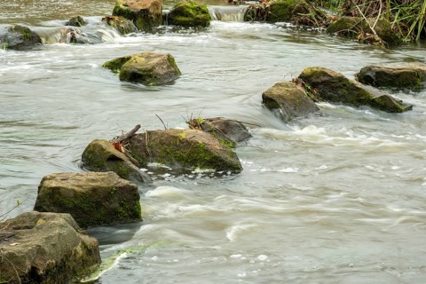 Borken-Hoxfeld, NRW, Germany, Rocks are partially submerged in flowing water, forming a natural