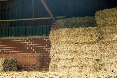 Borken-Hoxfeld, NRW, Germany, Stacks of hay bales fill a barn, showcasing a warm, earthy