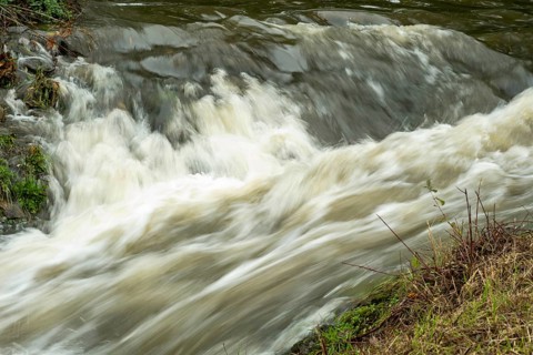 Borken-Hoxfeld, NRW, Germany, Rushing water flows over rocks in a serene natural area, surrounded