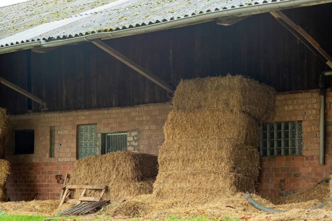 Borken-Hoxfeld, NRW, Germany, Stacks of hay bales are neatly arranged next to a barn. The scene