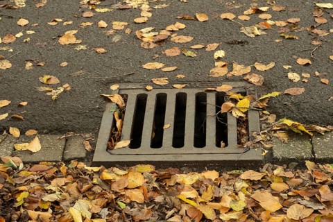 Borken-Hoxfeld, NRW, Germany, Fallen leaves cover the pavement around a storm drain on a calm