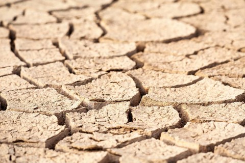 Close-up view of cracked dry soil showing texture and signs of drought, Djoudj, Senegal