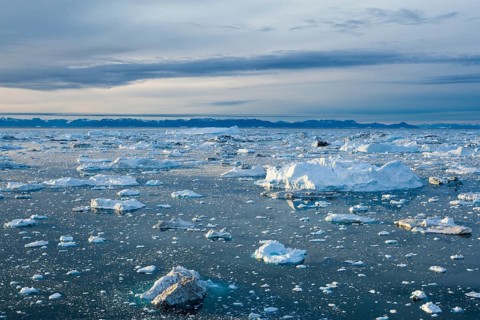 Iceberg fragments scattered across a vast, cold sea under an overcast sky, Ilulissat Icefjord,