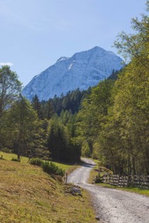Snowy mountain hawk with forest and hiking trail in autumn, Pinnistal, Neustift im Stubai Valley,