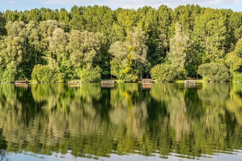 Detail of the natural landscape at Etang de Fouquenies (Fouquenies pond), a fishing water near