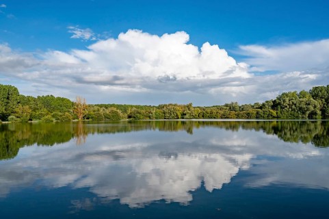 Natural landscape at Etang de Fouquenies (Fouquenies pond), a fishing lake near Beauvais. The motif