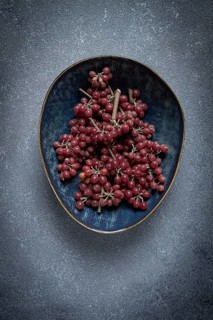 Shtoshi berry, Shepherd's pie, a hybrid of sea buckthorn and barberry, top view, no people