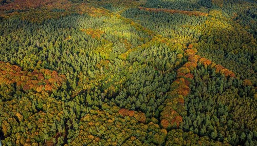 Aerial view, Uedemer Hochwald, mixed forest in colors, shapes and colors, Uedemerbruch, Uedem,
