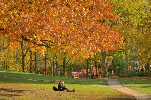 Autumn in Volkspark Wilmersdorf, Berlin, Germany