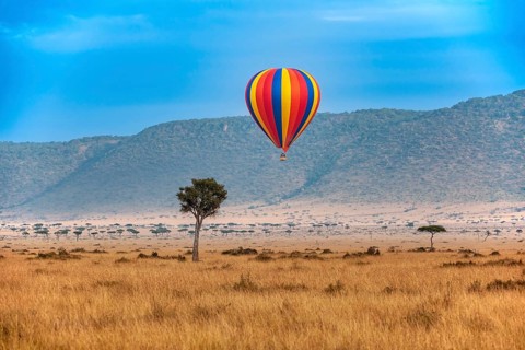 Early morning hot air balloon over the Masai Mara, Kenya