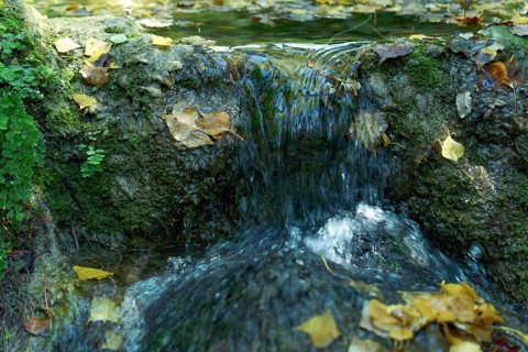 Ronda, malaga, spain Water flowing over mossy rocks in a forest, surrounded by golden autumn leaves