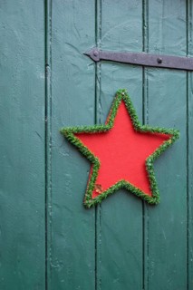 Red star with green border on green wooden door, festive decoration, North Rhine-Westphalia,