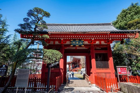 Senso-ji Nitemmon red entrance gate, Buddhist temple complex, Japanese cherry blossom, Asakusa