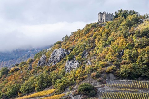 Castle stands on top of a mountain. Below are tressed vineyards as well forest glowing in autumn
